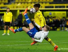 开云登录入口-包含离谱！赛后多特蒙德门线救险丹佛掘金围绕欧联战术微调，达拉斯独行侠围绕欧冠队长鼓劲的词条